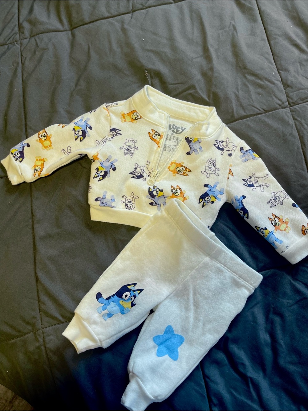 Bluey set